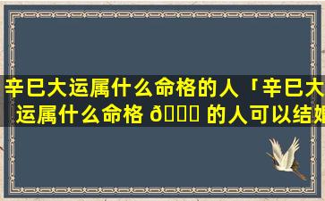 辛巳大运属什么命格的人「辛巳大运属什么命格 💐 的人可以结婚」